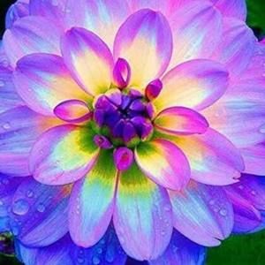 Meet your Posher, Mary lou